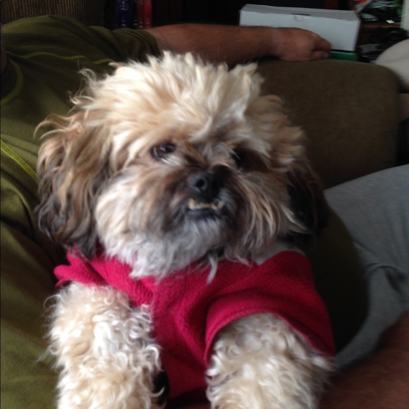 Meet your Posher, Joann - Picture 1 of 5